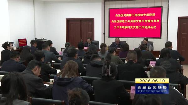 十届西藏自治区党委第九轮巡视完成进驻