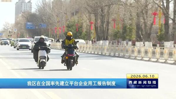 西藏自治区在全国率先建立平台企业用工报告制度