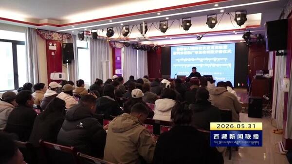 错那市举办全区首场AI翻译实操培训