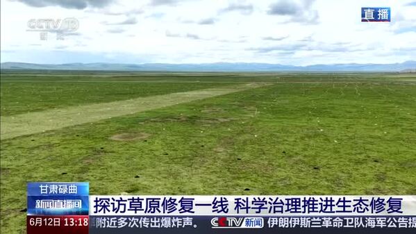 甘肃碌曲：探访草原修复一线 科学治理推进生态修复