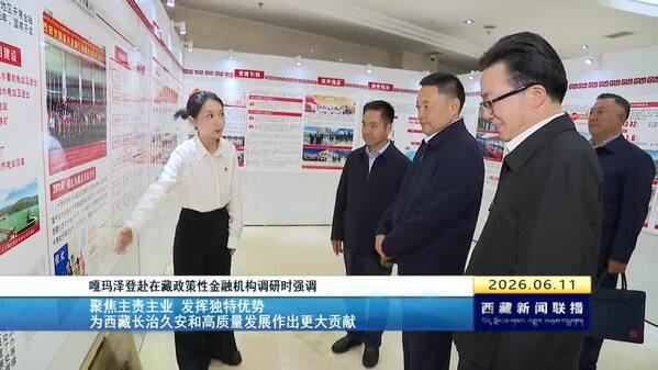 嘎玛泽登赴在藏政策性金融机构调研时强调 聚焦主责主业 发挥独特优势 为西藏长治久安和高质量发展作出更大贡献