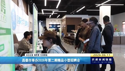 昌都市举办2026年第二期精品小型招聘会