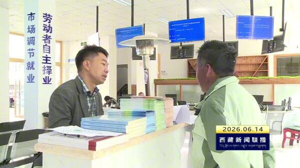 林芝市多措并举促进重点群体就业