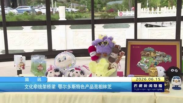 文化牵线架桥梁 鄂尔多斯特色产品亮相林芝