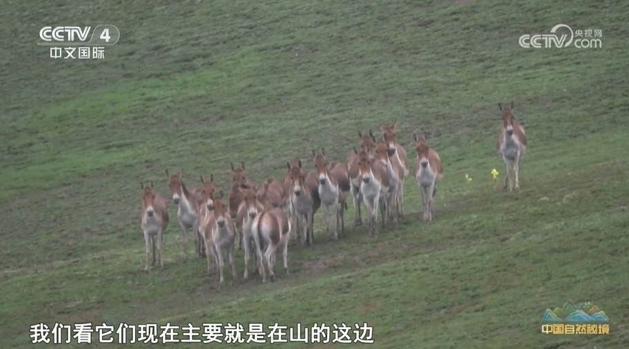 《远方的家》穿越群山与高原