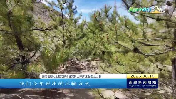 【美丽中国行】【奋进“十五五”·创建国家生态文明高地】南北山绿化稳步推进 厚植高原绿色发展底色