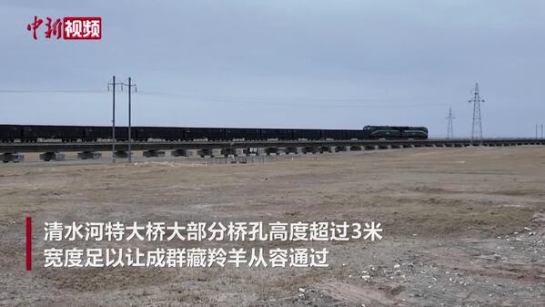 可可西里无人区1300多个桥洞：世界最长高原冻土桥如何为藏羚羊让路
