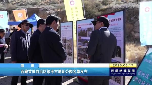 西藏首批自治区级考古遗址公园名单发布