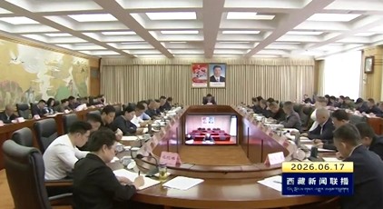 龚会才在西藏自治区树立和践行正确政绩观学习教育专项集中整治工作调度会上强调 提高政治站位 强化问题整改 有力推动集中整治工作取得实效