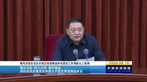 嘎玛泽登在全区农牧区寄递物流体系建设工作调度会上强调 锚定目标 持之以恒 善作善成 高标准高质量高效率建设农牧区寄递物流体系