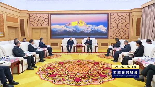 王君正与中国华电集团董事长叶向东座谈