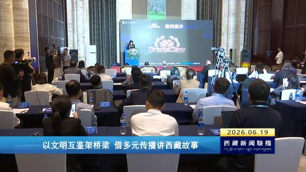 以文明互鉴架桥梁 借多元传播讲西藏故事