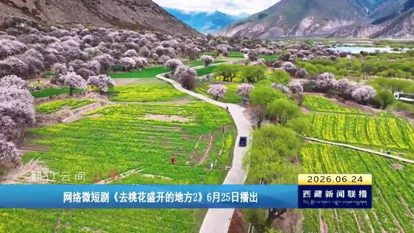 网络微短剧《去桃花盛开的地方2》6月25日播出