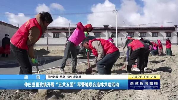 仲巴县里孜镇开展“五共五固”军警地联合造林共建活动