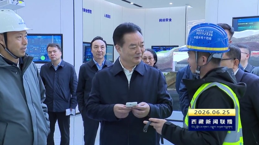 王君正在林芝市调研时强调 深入贯彻落实习近平总书记关于西藏工作的重要指示和新时代党的治藏方略 统筹推进“四件大事”落实 为西藏长治久安和高质量发展作出更大贡献