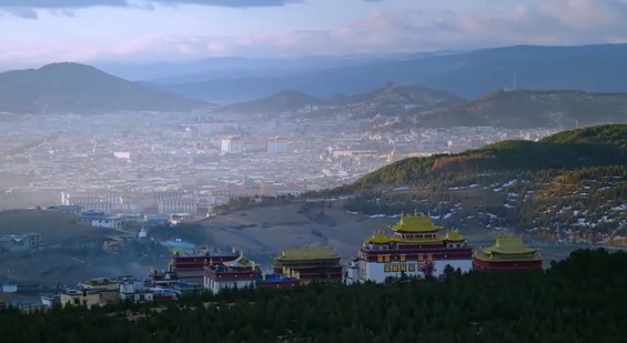 纪录片：生命之海