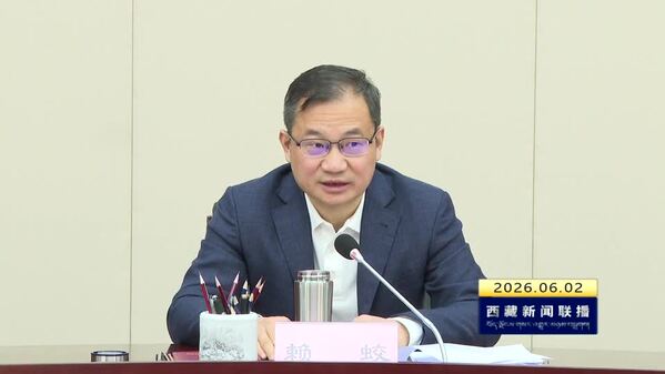 赖蛟在自治区树立和践行正确政绩观学习教育工作专班负责人会议上强调 提高政治站位 精准施策施治 扎实推动学习教育走深走实