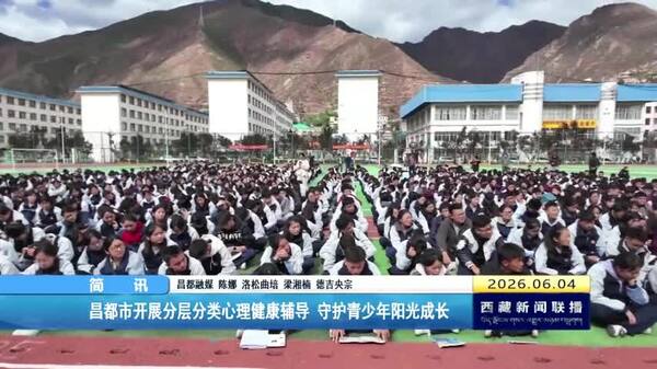 昌都市开展分层分类心理健康辅导 守护青少年阳光成长