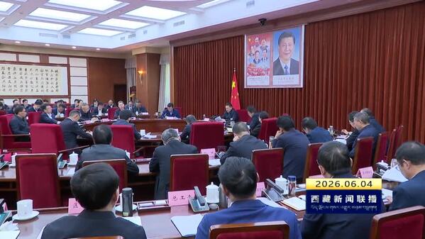嘎玛泽登在全区安全生产视频会议上强调 从严从实狠抓安全生产工作 全力保障人民群众生命财产安全和社会大局和谐稳定