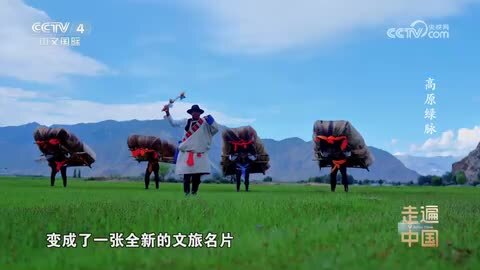 《走遍中国》高原绿脉