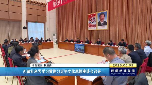 西藏社科界学习贯彻习近平文化思想座谈会召开