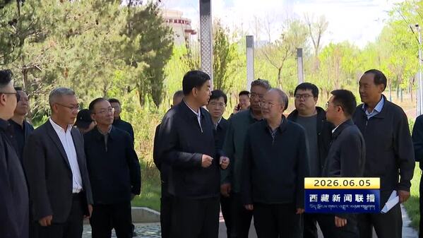 严金海在拉萨市堆龙德庆区调研时强调 夯实发展根基 筑牢民生基础 以实干实绩推动高质量发展