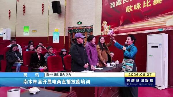 南木林县开展电商直播技能培训