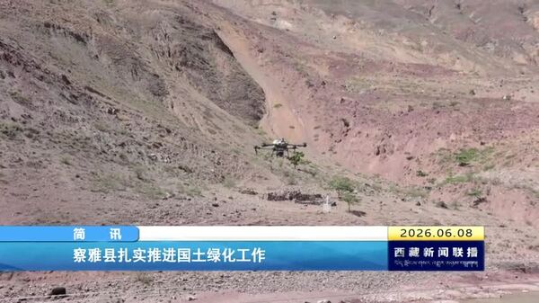察雅县扎实推进国土绿化工作