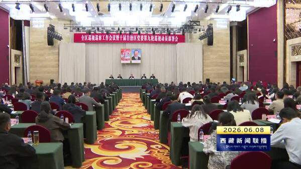 赖蛟在全区巡视巡察工作会议暨十届自治区党委第九轮巡视动员部署会上强调 强化使命担当 发挥利剑作用 纵深推进巡视工作高质量发展