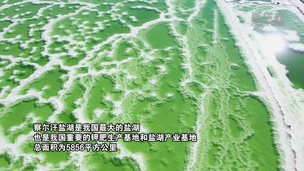 美丽中国行·探访三江源丨夏日察尔汗盐湖