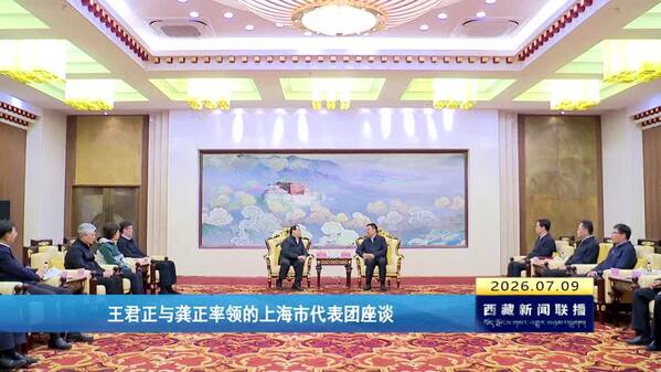 王君正与龚正率领的上海市代表团座谈