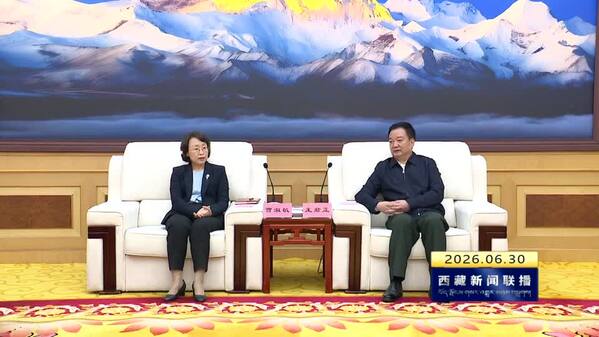 王君正与中宣部副部长 国家广电总局党组书记曹淑敏一行座谈