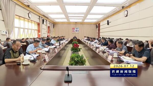 严金海在西藏自治区人大常委会党组（扩大）会议上强调 深学细悟 担当实干 为建设社会主义现代化新西藏作出更大贡献