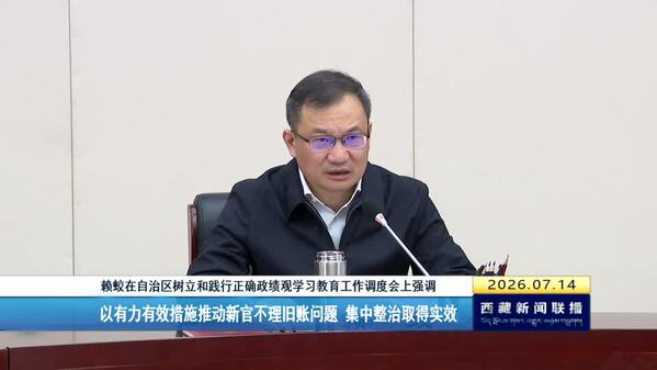 赖蛟在自治区树立和践行正确政绩观学习教育工作调度会上强调 以有力有效措施推动新官不理旧账问题 集中整治取得实效