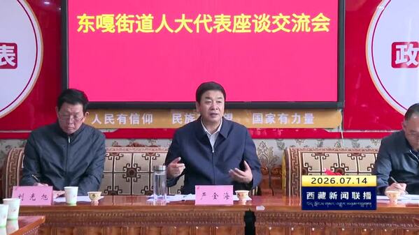 严金海在拉萨市堆龙德庆区东嘎街道人大工委“人大代表之家”调研时强调 深入学习宣传贯彻民族团结进步促进法 推动民族团结进步事业高质量发展