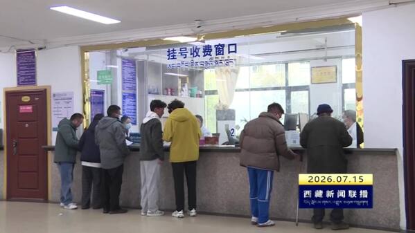 林芝市职工互助医疗保险提质增效