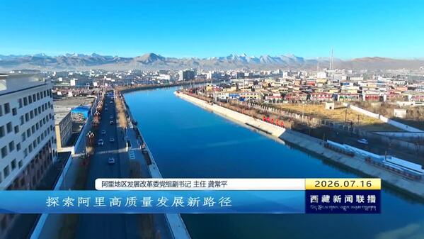 阿里聚焦高质量发展 五大亮点成色十足