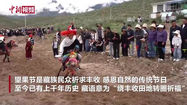 千年望果祈丰年 西藏加查共康村以特色产业绘就乡村振兴画卷