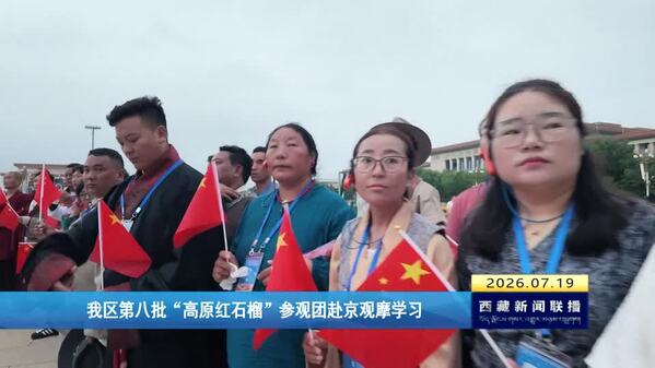 西藏自治区第八批“高原红石榴”参观团赴京观摩学习