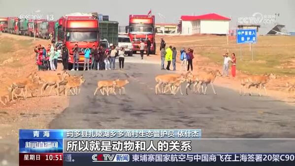 【美丽中国行 探访三江源国家公园】一户一岗：2.08万牧民成为高原守护者