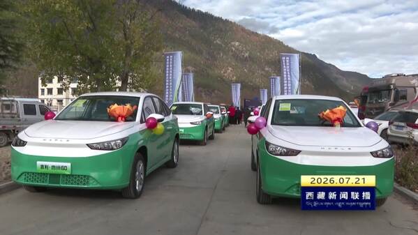 林芝市运输供给逐步实现从“单一”到“多元”转变