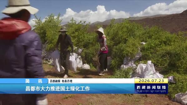 昌都市大力推进国土绿化工作