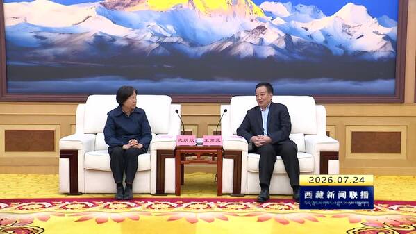 王君正与全国政协副主席沈跃跃率队的考察团座谈