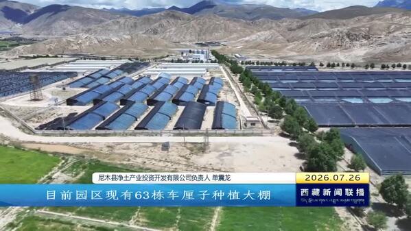 产业赋能乡村振兴 尼木大樱桃甜蜜上市