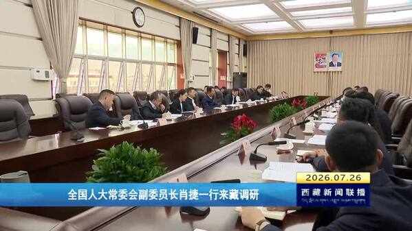全国人大常委会副委员长肖捷一行来藏调研