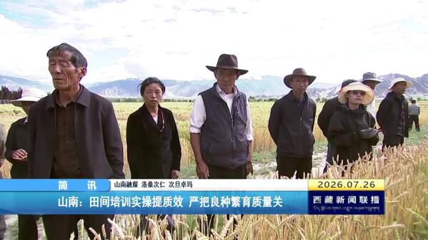 山南：田间培训实操提质效 严把良种繁育质量关