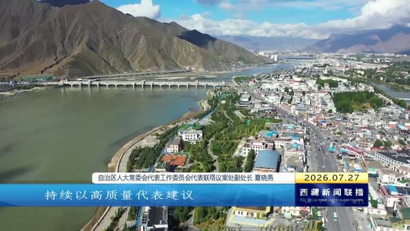 从“纸上”到“地上” 让代表“好声音”成为发展“新引擎”