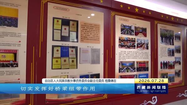 以高质量代表工作践行全过程人民民主