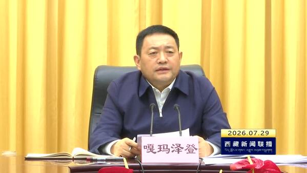 嘎玛泽登主持召开自治区政府党组理论学习中心组（扩大）学习会和党组（扩大）会议 深学细悟笃行习近平党建思想 以更高标准当好执行者行动派实干家