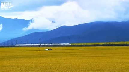 祁连山下动车组与油菜花海限时同框